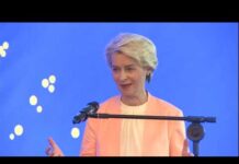 The Future of the EU-Brazil Partnership, 13 June 2023