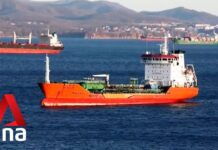 EU’s Borrell Urges Crackdown on Indian Fuel Imports Made with Russian Oil, 16 May 2023