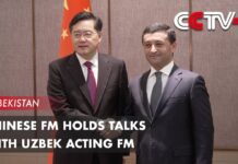 Chinese FM Holds Talks with Uzbek Acting FM, Vowing to Deepen Bilateral Cooperation, 13 April 2023