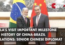 Lula’s Visit Important Milestone in History of China-Brazil Relations: Senior Chinese Diplomat, 14 April 2023