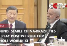 Sound, Stable China-Brazil Ties to Play Positive Role for Whole World: Xi, 14 April 2023