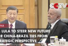 Xi, Lula to Steer New Future for China-Brazil Ties from Strategic Perspective, 14 April 2023
