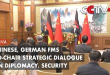 Chinese, German FMs Co-Chair Strategic Dialogue on Diplomacy, Security, 15 April 2023