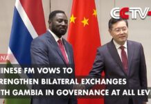 Chinese FM Vows to Strengthen Bilateral Exchanges with Gambia in Governance at All Levels, 21 April 2023