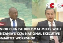 Senior Chinese Diplomat Meets with Tanzania’s CCM National Executive Committee Workshop, 22 April 2023