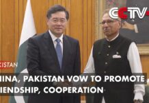 China, Pakistan Vow to Promote Friendship, Cooperation, 6 May 2023