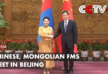 Chinese, Mongolian FMs Meet in Beijing, 1 May 2023