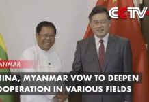 China, Myanmar Vow to Deepen Cooperation in Various Fields, 3 May 2023