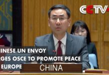 Chinese UN Envoy Urges OSCE to Promote Peace in Europe, 5 May 2023