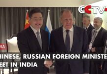 Chinese, Russian FMs Meet in India, 5 May 2023