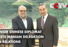 Senior Chinese Diplomat Meets Iranian Delegation on Relations, 10 May 2023