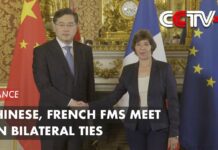 Chinese, French FMs Meet on Bilateral Ties,11 May 2023