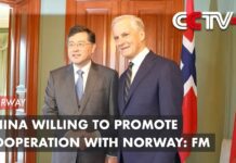 China Willing to Promote Cooperation with Norway: FM, 13 May 2023