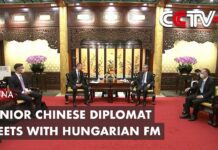 Senior Chinese Diplomat Meets with Hungarian FM,16 May 2023