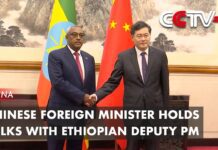Chinese Foreign Minister Holds Talks with Ethiopian Deputy PM, 25 May 2023