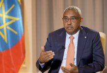 Demeke: Relations Between China and Ethiopia Are Getting More Consolidated, 3 June 2023