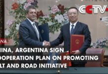 China, Argentina Sign Cooperation Plan on Promoting Belt and Road Initiative, 3 June 2023