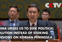 China Urges US to Seek Political Solution Instead of Stoking Tensions on Korean Peninsula, 3 June 2023