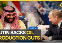 Putin: Oil Production Cuts to Support Prices, 18 May 29023