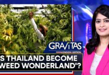 Thailand’s Marijuana Industry Booms, 1 May 2023