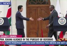 Japan, Ghana Aligned in the Pursuit of Reforms, 2 May 2023
