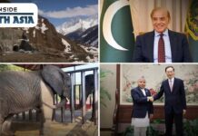 Inside South Asia | 1 Year of Pak PM , Zojila-The Strategic Tunnel of India, 15 April 2023