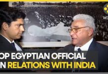 ‘Relations Between India and Egypt Getting Diversified’, Says Aly Houssam in a Discussion with WION, 13 May 2023