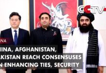 China, Afghanistan, Pakistan Reach Consensuses on Enhancing Ties, Security, 7 May 2023