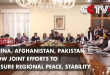 China, Afghanistan, Pakistan Vow Joint Efforts to Ensure Regional Peace, Stability, 9 May 2023