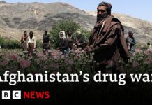 Inside the Taliban’s War on Drugs, 6 June 2023