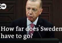 Why Erdogan Is Still Blocking Sweden’s NATO Bid, 15 June 2023