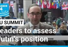 EU Leaders to Assess Putin’s Position in Talks with NATO and Ukraine Chiefs at Summit, 29 June 2023
