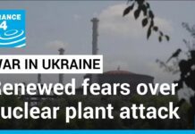 Russia, Ukraine Accuse Each Other of Plotting Imminent Attack on Nuclear Plant, 5 July 2023