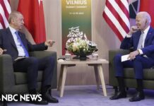 Biden Meets with Turkish President Erdoğan at the NATO Summit, 11 July 2023