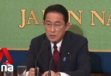 Asian Leaders Seek to Enhance Ties with NATO, 10 July 2023