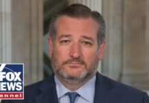 Sen. Cruz Accuses FBI of ‘Covering up’ for Bidens, 14 June 2023