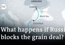 Why Is the Black Sea Grain Deal important? 15 July 2023