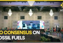 G20 Nations Fail to Agree on Phasing Down Unabated Fossil Fuels, 23 July 2023