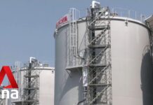 IAEA Chief to Visit Japan’s Fukushima Plant Ahead of Planned Release of Treated Nuclear Water, 30 June 2023