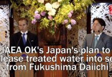 IAEA OK’s Japan’s Plan to Release Treated Water into Sea from Fukushima Daiichi, 4 July 2023
