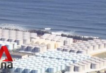 IAEA Gives Japan Green Light to Release Treated Radioactive Water into Ocean, 4 July 2023