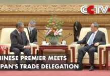 Chinese Premier Meets Japan’s Trade Delegation, 5 July 2023