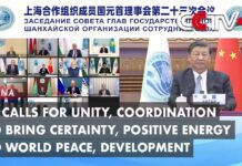 Xi Calls for Unity, Coordination to Bring Certainty, Positive Energy to World Peace, Development, 4 July 2023