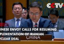 Chinese Envoy Calls for Resuming Implementation of Iranian Nuclear Deal, 7 July 2023