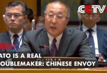 NATO Is a Real Troublemaker: Chinese Envoy, 14 July 2023