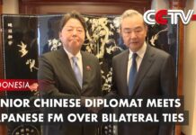 Senior Chinese Diplomat Meets Japanese FM Over Bilateral Ties, 14 July 2023