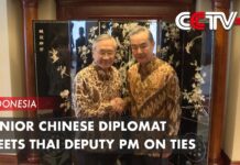 Senior Chinese Diplomat Meets Thai Deputy PM on Ties, 15 July 2023