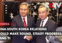 China-South Korea Relations Should Make Sound, Steady Progress: Wang Yi, 15 July 2023
