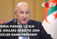 Algeria Pledges 1.5 Bln U.S. Dollars in Bid to Join Brics-Led Bank: President, 22 July 2023