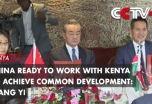 China Ready to Work with Kenya to Achieve Common Development: Wang Yi, 24 July 2023